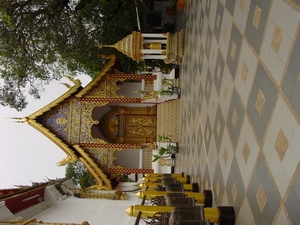 DSC03202