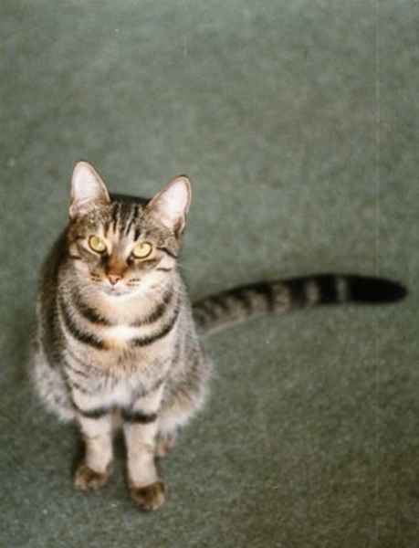 Festus  19jaar en drie maanden geworden