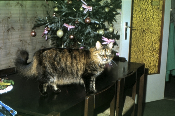 Skrolle van ons heen gegaan op 14 november 2002