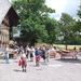 zwartewoud (4)