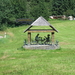 zwartewoud (5)