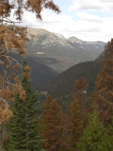 rocky mountains sept 2009 010