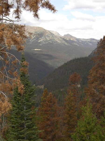 rocky mountains sept 2009 010