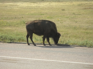 rocky mountains sept 2009 030