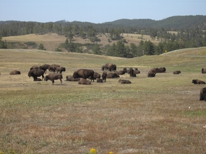 rocky mountains sept 2009 031