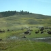 rocky mountains sept 2009 155