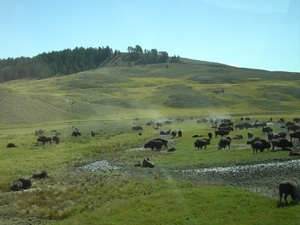 rocky mountains sept 2009 155