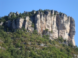 Hier nestelen  de Vautours (gieren)