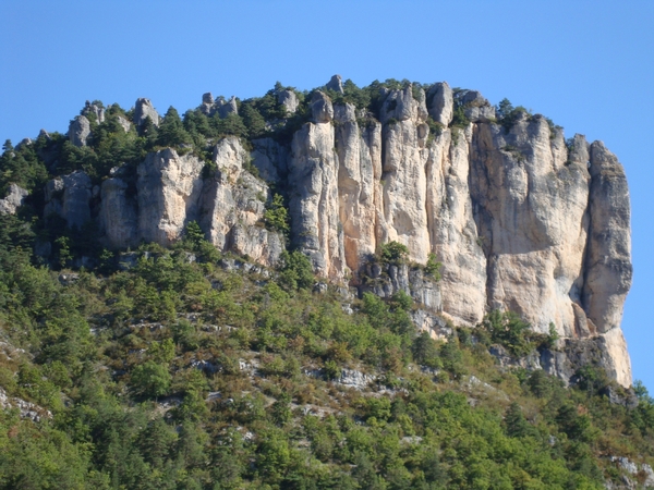 Hier nestelen  de Vautours (gieren)