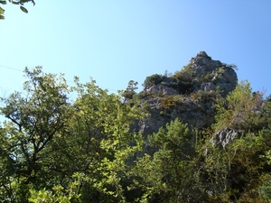 DSC05206