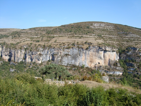 DSC05239