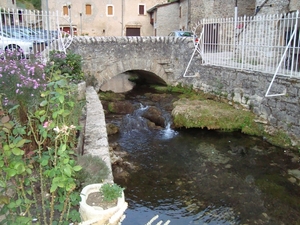 DSC05305