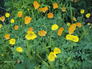 030