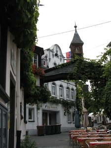 moesel2009 092