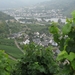 moesel2009 100