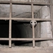 moesel2009 113
