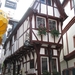 moesel2009 144