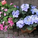 moesel2009 147