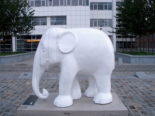 Nr:11  Adamava  (Beschadigd )