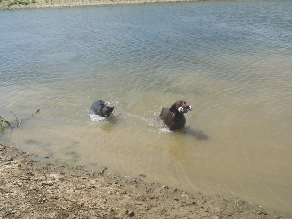 Zonder haar was het niet gelukt.
