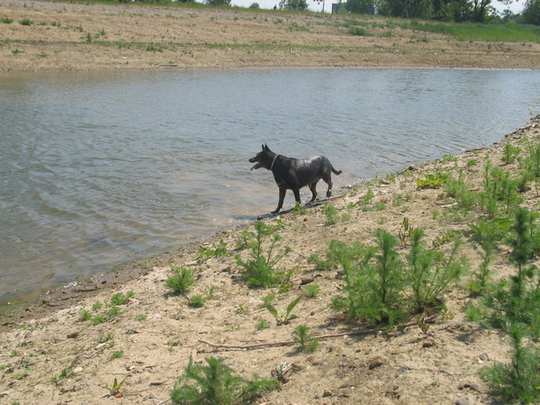 IHier moest ze wachten, klaar om mij te helpen