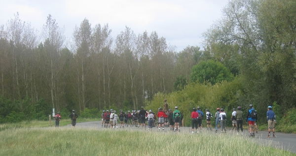 Dijkgravin in HIngene