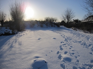 sneeuwlandschap