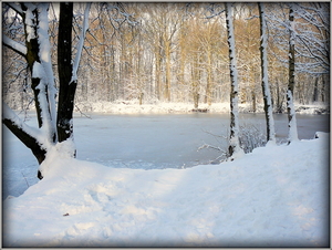 vijver in de sneeuw in Ardooie bos