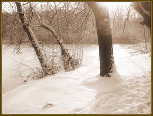 sneeuw in sepia