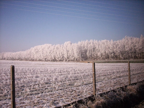 natuur 029