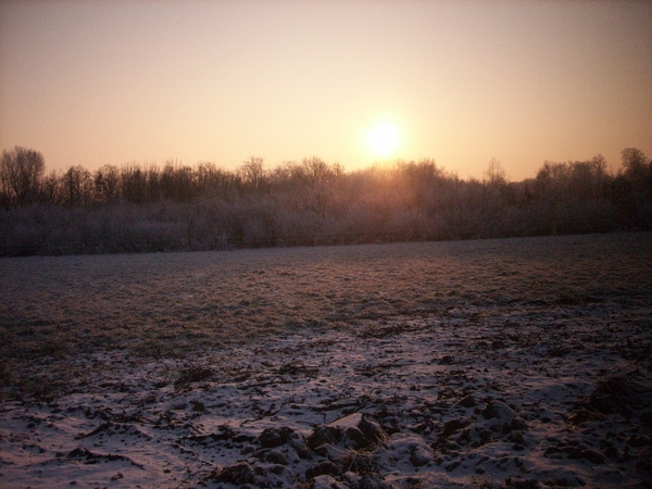 winterlandschap