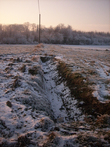 winterlandschap