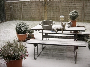 onze tuin