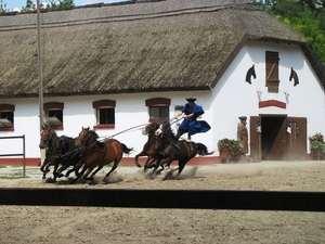 Paardenshow