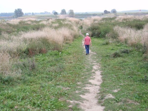 Door de uiterwaard naar de rivier