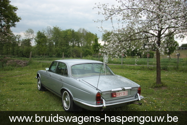 SOVEREIGN LWB Jaguar Daimler bruidswagen