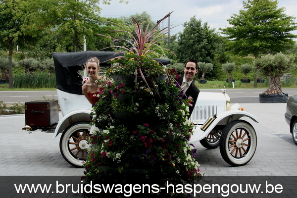 DILBEEK oldtimers bruidswagens voitures de ceremonie