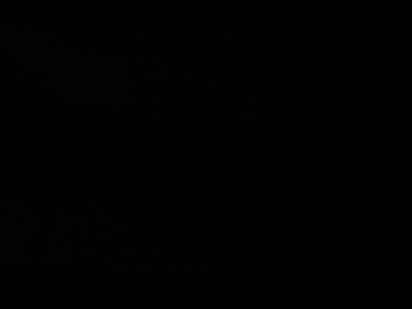 IMG_6373