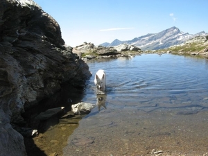 20090806mbl 160 afdal Gressoney