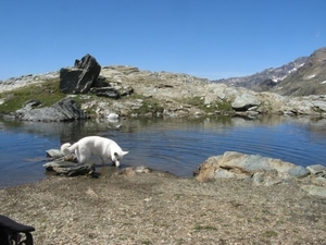 20090806mbl 163 afdal Gressoney