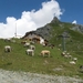 20090806mbl 174 afdal Gressoney