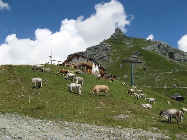 20090806mbl 174 afdal Gressoney