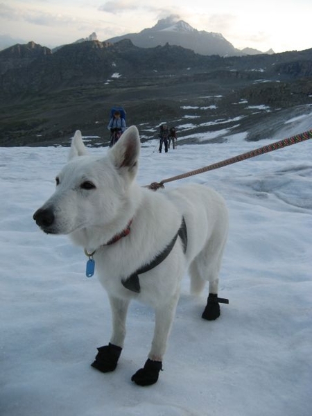 20090810mbl 236 GranParadiso