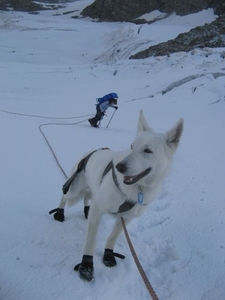 20090810mbl 252 GranParadiso