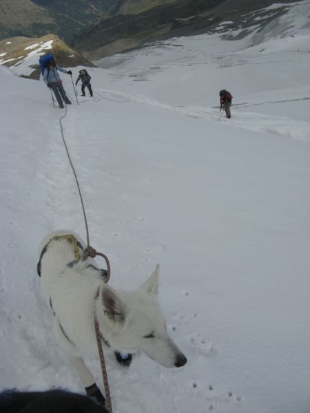 20090810mbl 258 GranParadiso