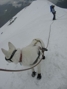 20090810mbl 264 GranParadiso