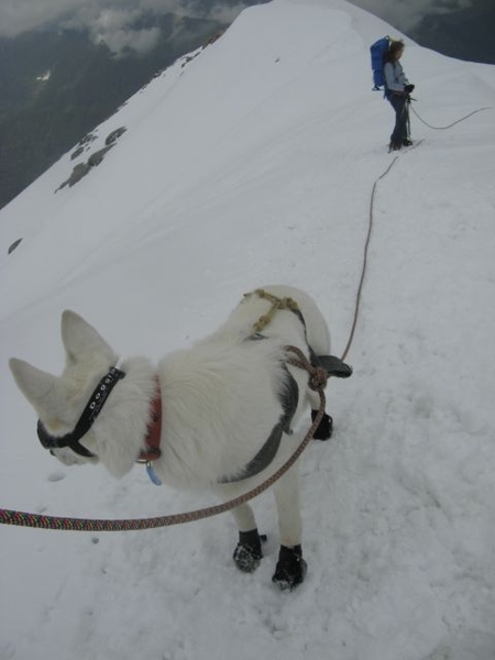 20090810mbl 264 GranParadiso