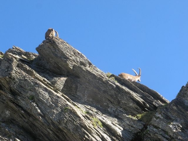 20090818 519 nr Gouter