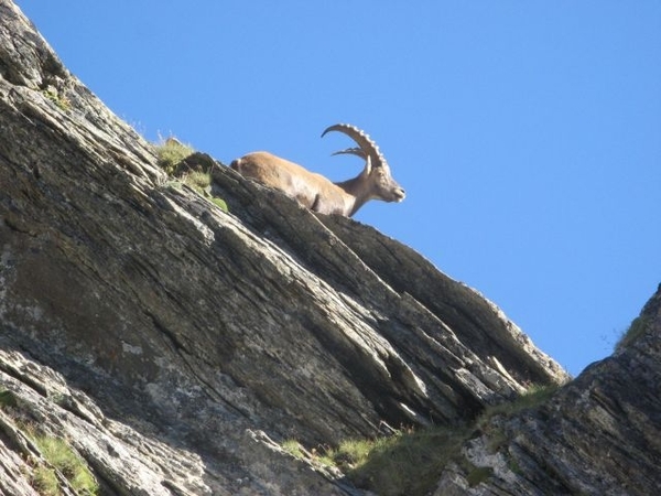 20090818 520 nr Gouter