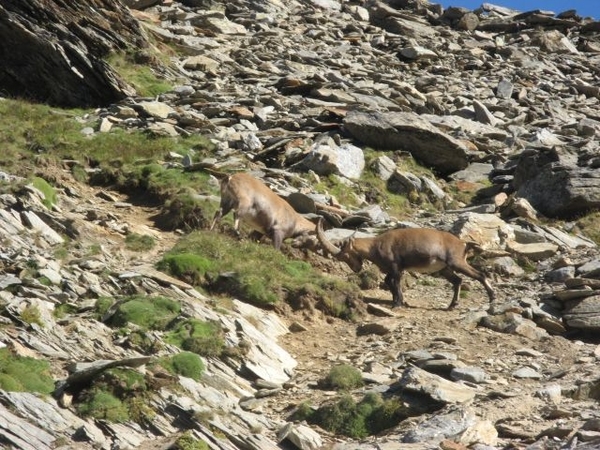 20090818 524 nr Gouter